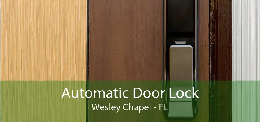 Automatic Door Lock Wesley Chapel - FL