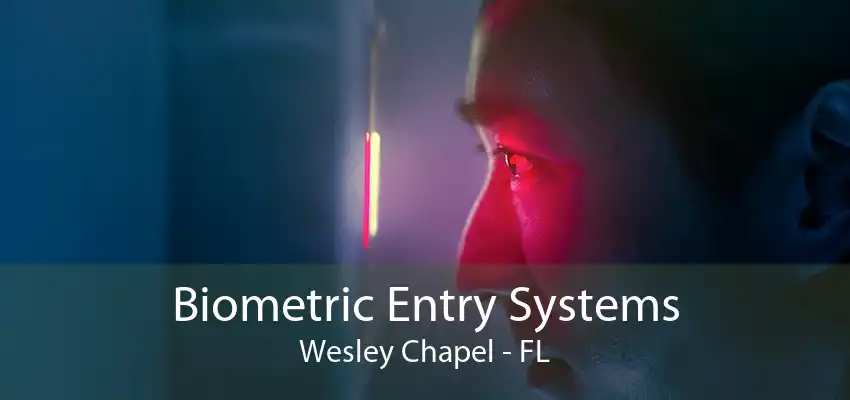 Biometric Entry Systems Wesley Chapel - FL