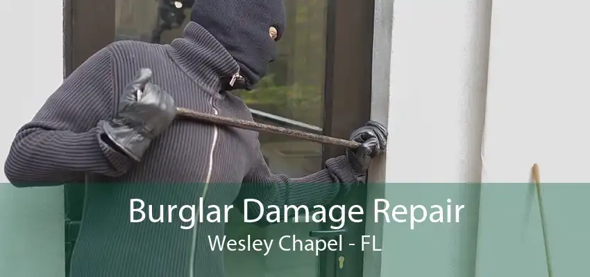 Burglar Damage Repair Wesley Chapel - FL