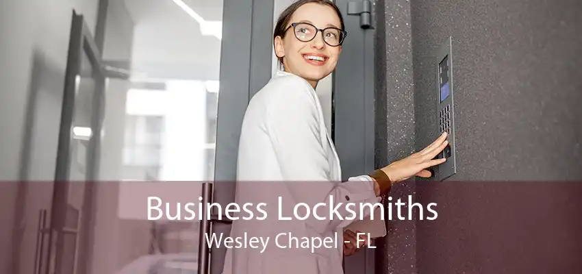 Business Locksmiths Wesley Chapel - FL