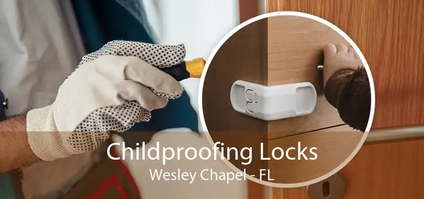 Childproofing Locks Wesley Chapel - FL