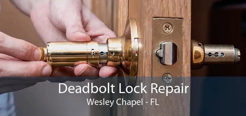 Deadbolt Lock Repair Wesley Chapel - FL