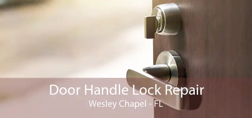 Door Handle Lock Repair Wesley Chapel - FL