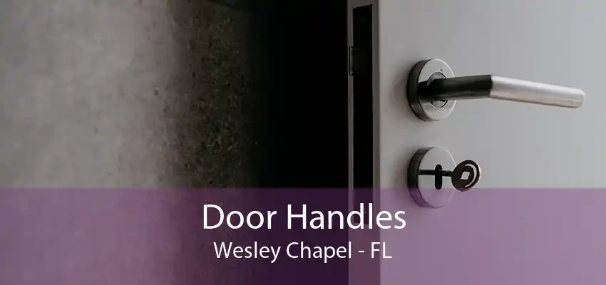 Door Handles Wesley Chapel - FL