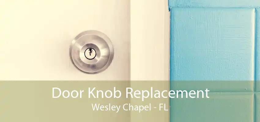 Door Knob Replacement Wesley Chapel - FL