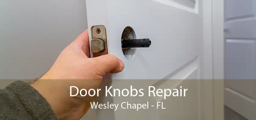 Door Knobs Repair Wesley Chapel - FL