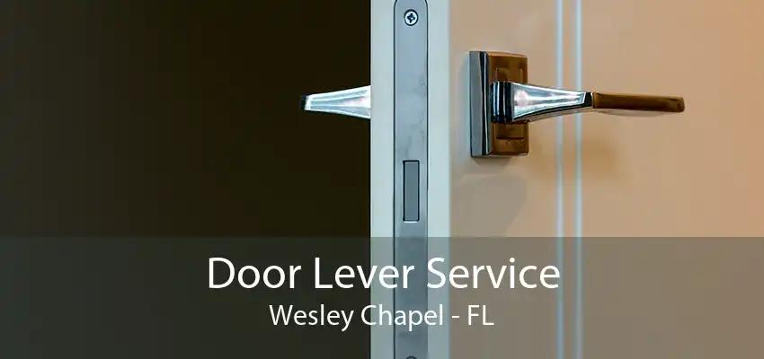 Door Lever Service Wesley Chapel - FL