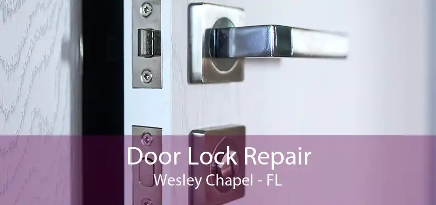 Door Lock Repair Wesley Chapel - FL