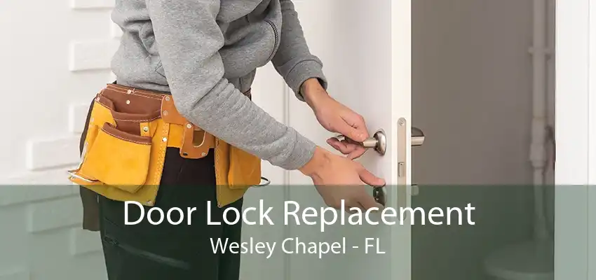 Door Lock Replacement Wesley Chapel - FL