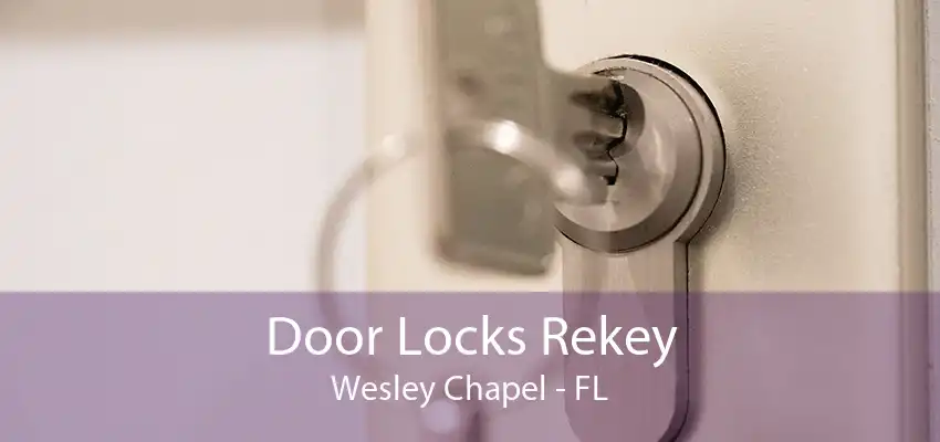 Door Locks Rekey Wesley Chapel - FL