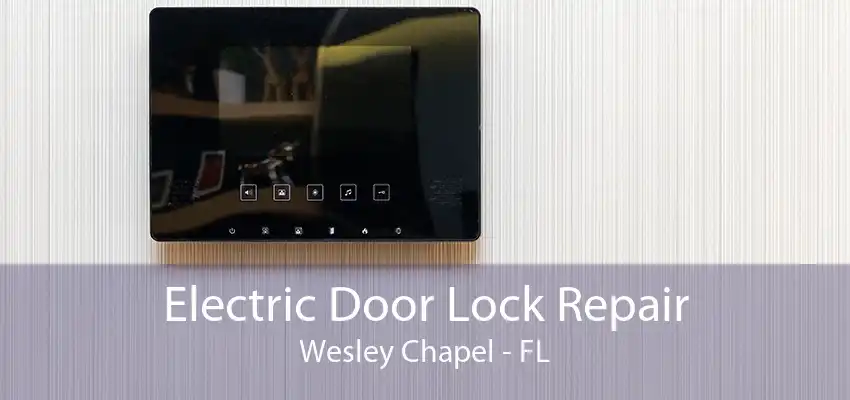 Electric Door Lock Repair Wesley Chapel - FL