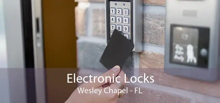 Electronic Locks Wesley Chapel - FL