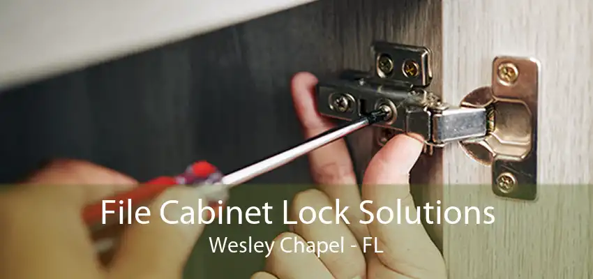 File Cabinet Lock Solutions Wesley Chapel - FL