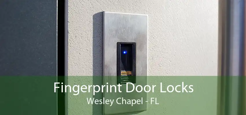 Fingerprint Door Locks Wesley Chapel - FL