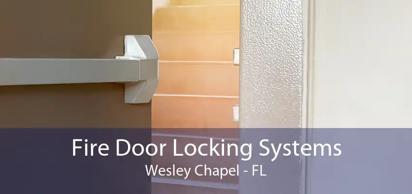 Fire Door Locking Systems Wesley Chapel - FL