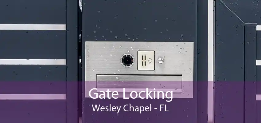 Gate Locking Wesley Chapel - FL