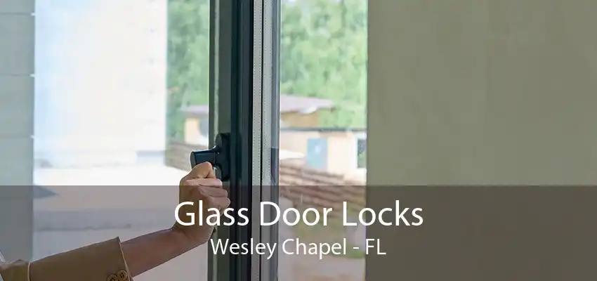 Glass Door Locks Wesley Chapel - FL