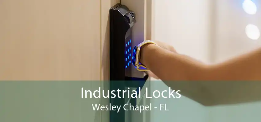 Industrial Locks Wesley Chapel - FL