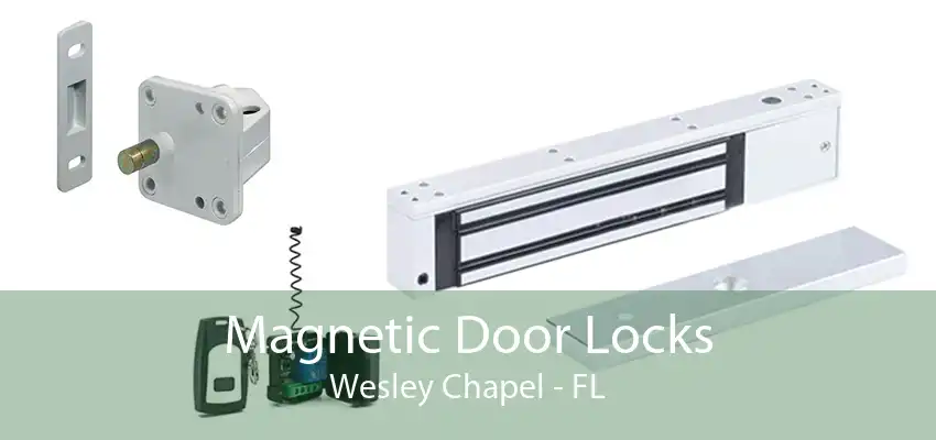 Magnetic Door Locks Wesley Chapel - FL