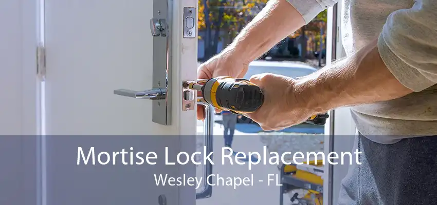 Mortise Lock Replacement Wesley Chapel - FL