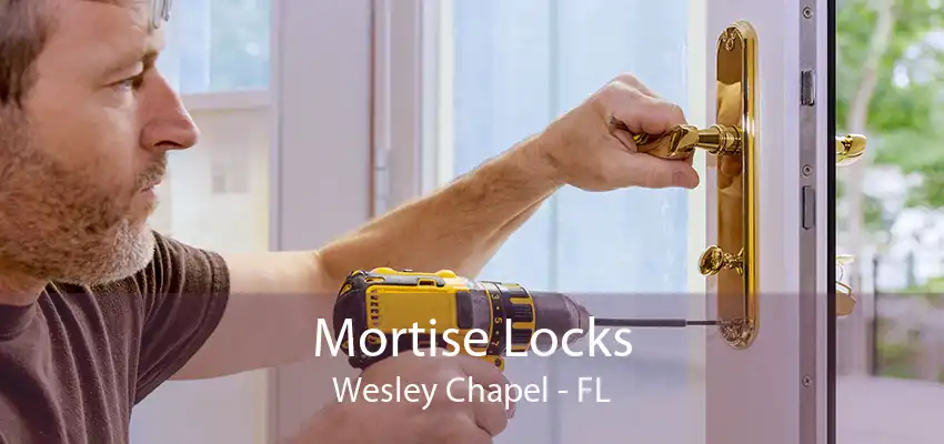 Mortise Locks Wesley Chapel - FL