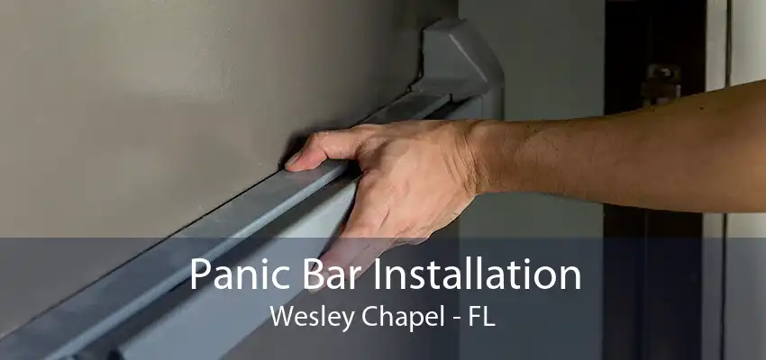 Panic Bar Installation Wesley Chapel - FL