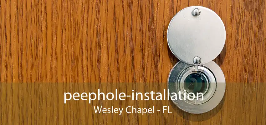 peephole-installation Wesley Chapel - FL