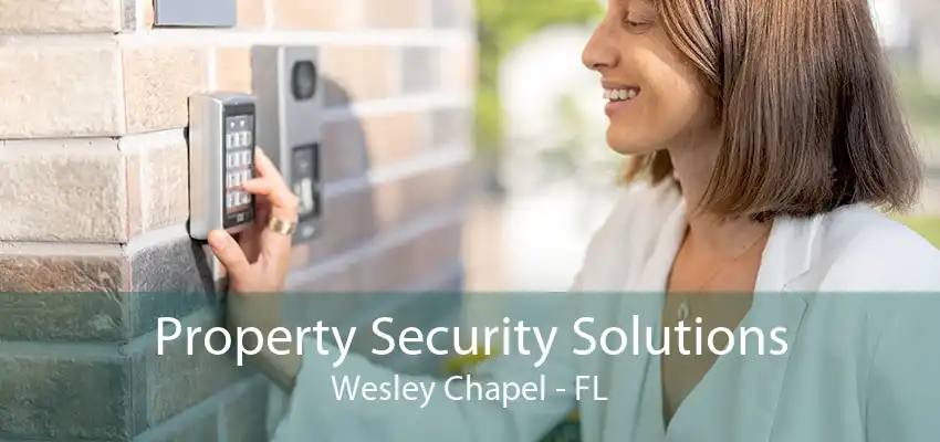 Property Security Solutions Wesley Chapel - FL