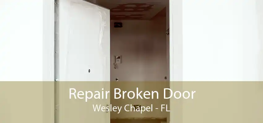 Repair Broken Door Wesley Chapel - FL