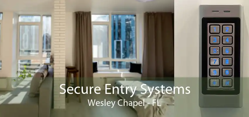 Secure Entry Systems Wesley Chapel - FL