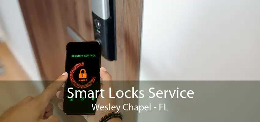 Smart Locks Service Wesley Chapel - FL