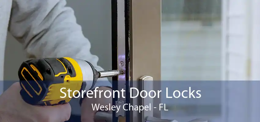 Storefront Door Locks Wesley Chapel - FL