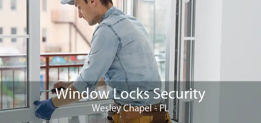 Window Locks Security Wesley Chapel - FL